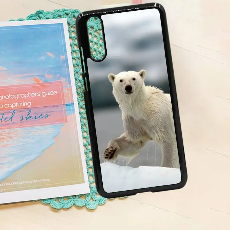 

cold Polar bear white animal Phone Case PC for iPhone 11 12 pro XS MAX 8 7 6 6S Plus X 5S SE 2020 XR