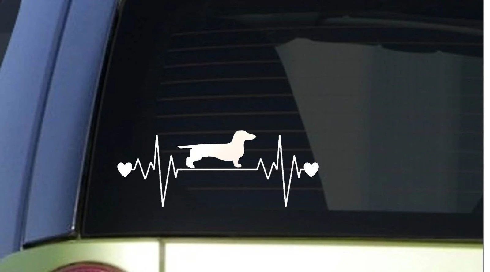 

8 , weiner dog