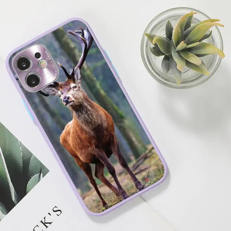 

whitetail deer hunting deer Phone Case For iPhone 12 11 Mini Pro XR XS Max 7 8 Plus X Matte transparent Purple Back Cover
