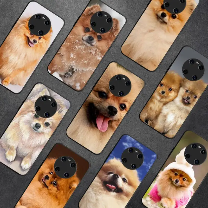 

Pomeranian dogs dog Phone Case For Huawei Y5 Y62019 Y52018 Y92019 Luxury funda case for 9prime2019