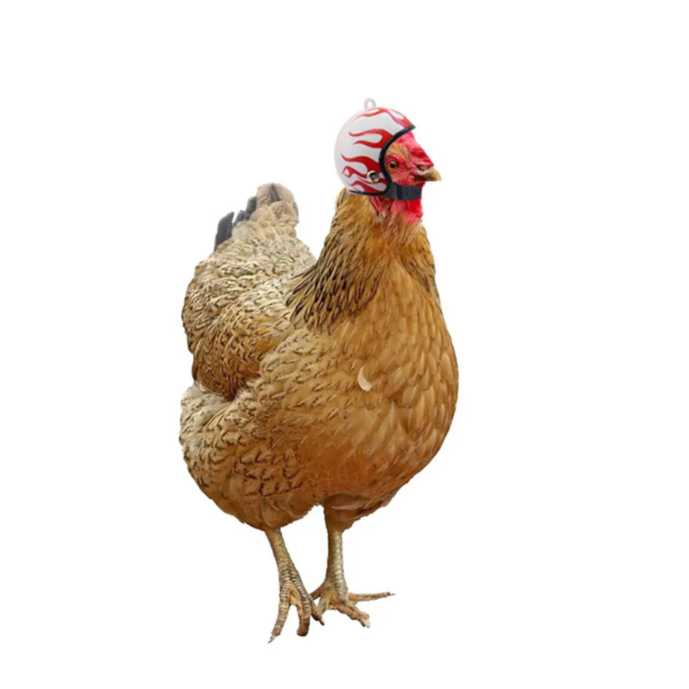 

Chicken Helmet Cap Pet Protective Gear Sun Rain Protection Helmet Toy Bird Hens Small Pet Supplies Costumes Accessories