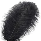 Перья страусиные черные, 15-70 см, 10-200 шт.
