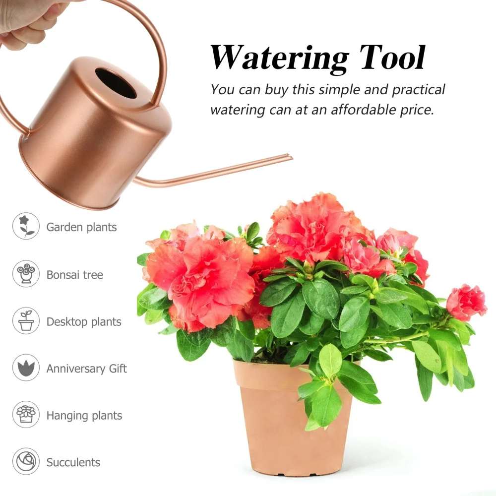 

Simple Watering Kettle Watering Pot Watering Kettle Stainless Steel Kettle