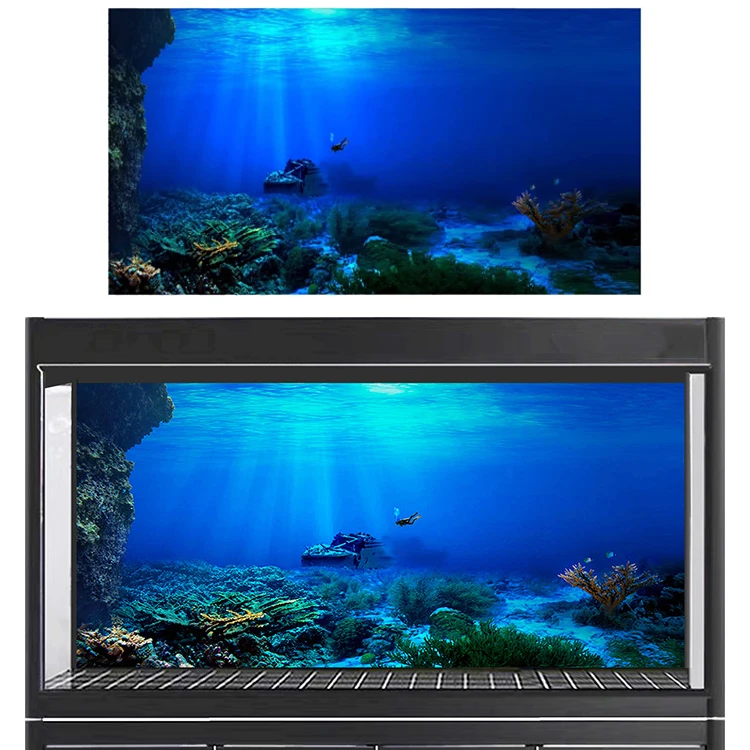 

Rainforest Aquarium Background Poster Fish Tank Reptile Box PVC 3D Underwater World Landscape Picture Decor Backdrop Wallpaper