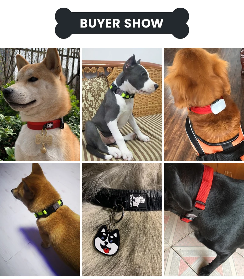 

Truelove Dog Collar Nylon Pet Collars for Small Medium and Big Dogs Neck Belt Training Walking Jogging Light Breathable Running