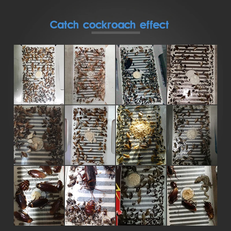 Ловушка для тараканов 15 шт. приманка жук в виде насекомых дома борьбы с