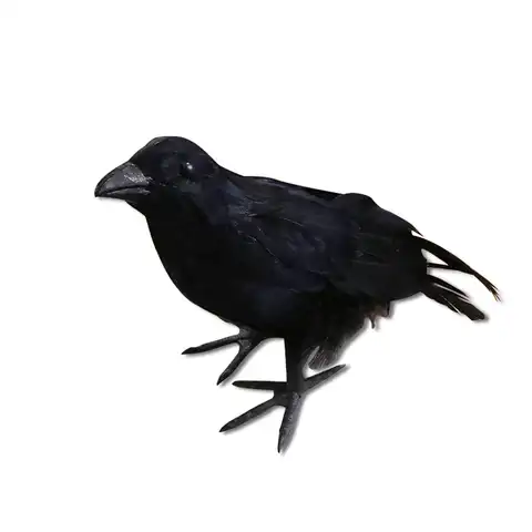 Имитация Черной вороны, модель животного, искусственная ворона, черная птица, Ворон, реалистичное украшение для дома, вечеринка, подарок для...
