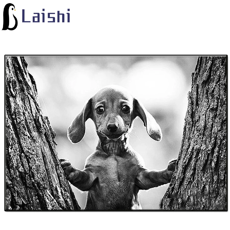 Алмазная живопись 5D сделай сам черно-белая животная картина милая собака круглая