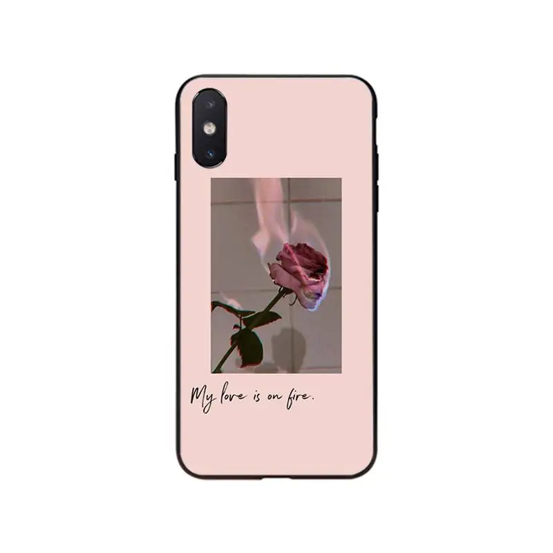 Чехол для телефона с розовыми эстетичными песнями iphone SE2 12 11 Pro XS MAX XR 8 7 6 Plus 5 5S SE Case