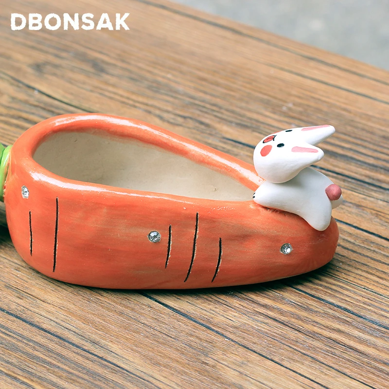 Стереоскопический горшок для моркови кролика цветов растений суккулентов