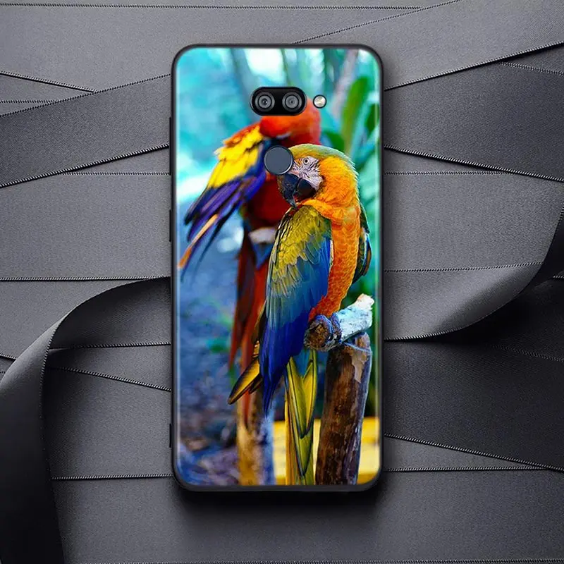

Cute parrot For LG K22 K71 K61 K51S K41S K30 K20 K50S K40S Q60 V60 V50 V40 V35 V30 G8 ThinQ Black Phone Case