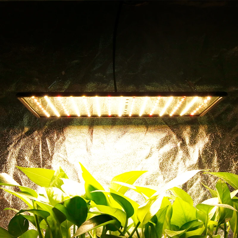 

Growing Light Full Spectrum Phyto Lamp Greenhouse Cultivation Flowering Phytolamp For Seedlings Tent Led Panel Indoor Plant Lamp