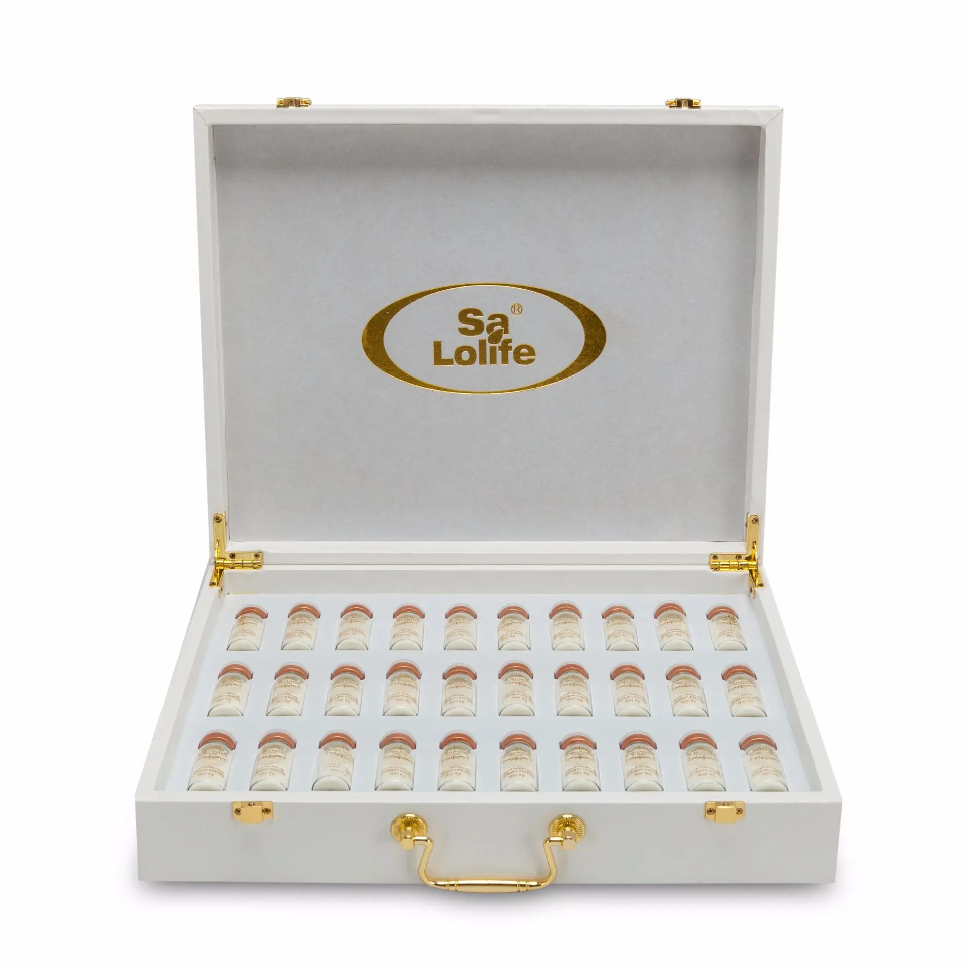

Salolife Fish Collagen Powder OEM Collagen Peptide Powder 24 Months Hurbolism Blending Drinks Fine Gifts Manufacturers Supply