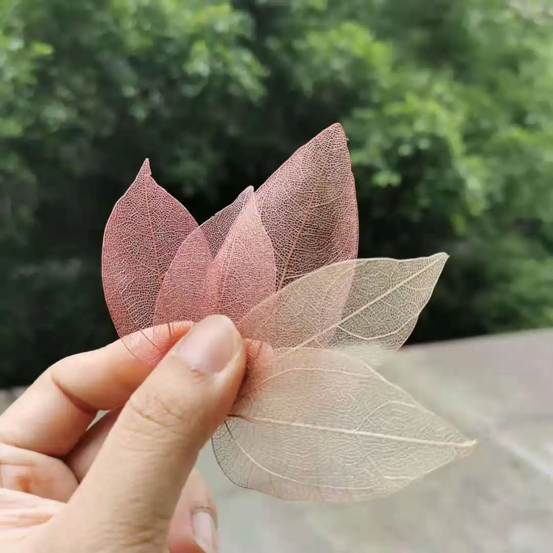 20 штук из натурального сенсорный сушеные Жилка листа лепестки растения DIY Свечи