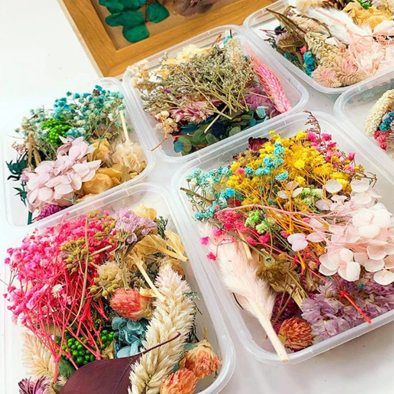 

1Box Dried Flowers UV Resin Filling Natural Pressed Flower Art Floral Decors Epoxy Resin Mold Jewelry Decorative