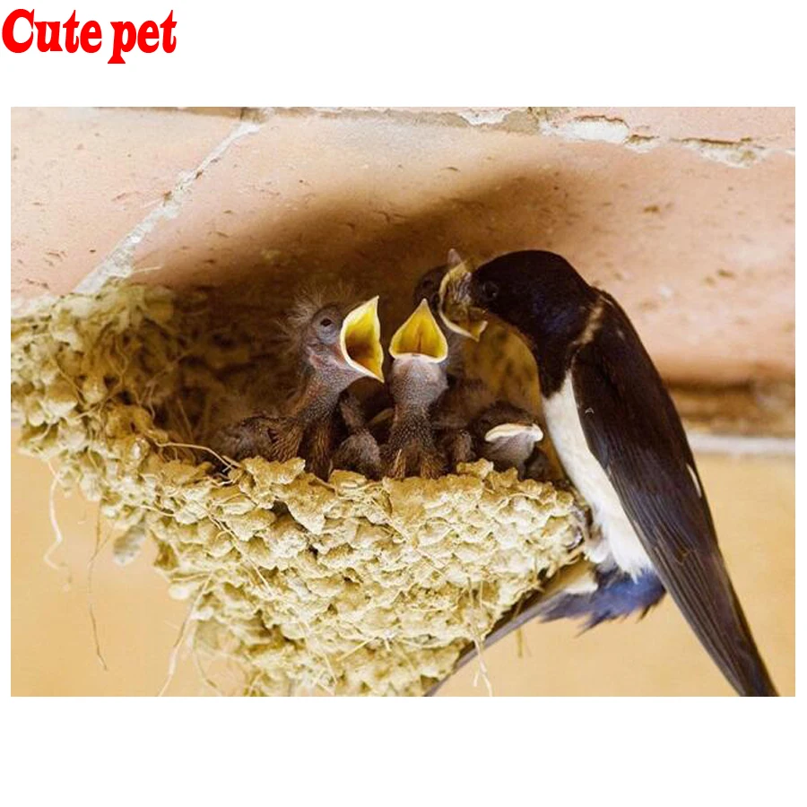 

5d diy diamond Swallow predation animals Cross Stitch diamond painting cube drill animal embroidery picture of rhinestones icon