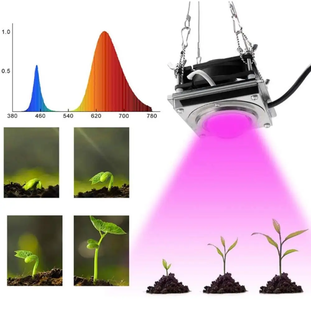 300Вт COB LED Растительный ростовой светильник для цветка, внутреннего гидропонного теплицы полного спектра растущей лампы расти.