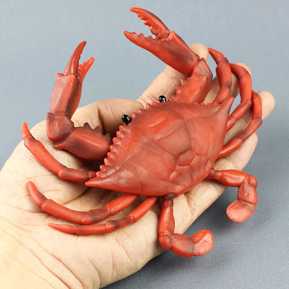 

Plastic Realistic Child Gifts Figure Home Simulation Crab Educational Learning Sea Animal Model Solid Collection Toy Decoration