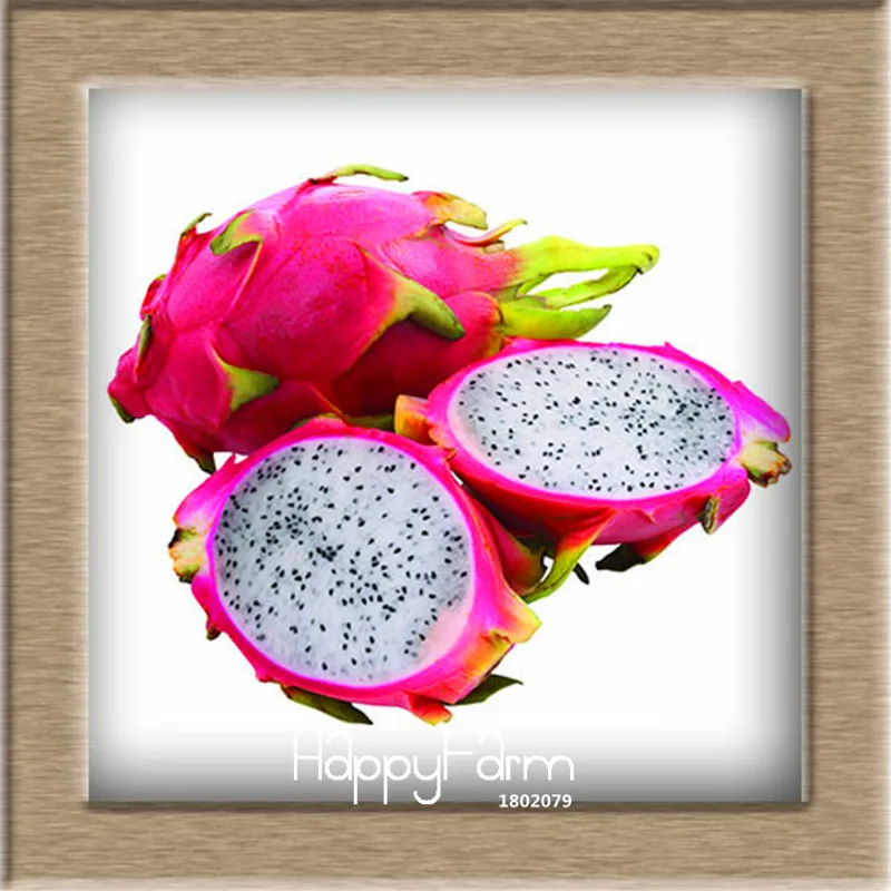 2 New!Sweet Pitaya Bonsai Tree Plants Dragon Fruit garden Pitaya flores Non-gmo Hylocereus Fruit, 100 plantas/Pack,#EV242E - Цвет: 2