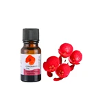 Корона из шипов euphorbia эфирное масло Niacinamide осветляет цвет лица увлажняющий тоник для мужчин и женщин смягчающий макияж 10 мл