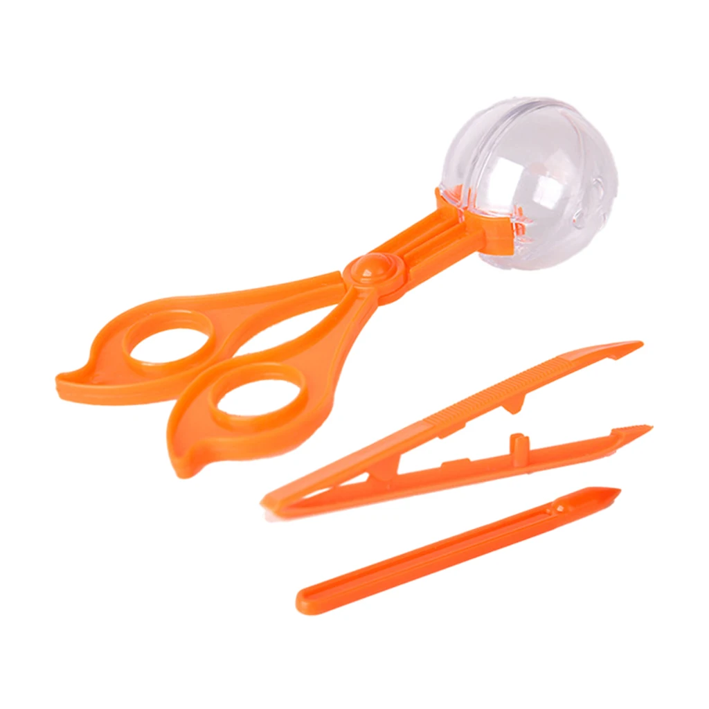 

Набор для ловли насекомых 3 шт. Ловец насекомых обучающий для кемпинга на открытом воздухе Explorer для малышей мальчиков и девочек