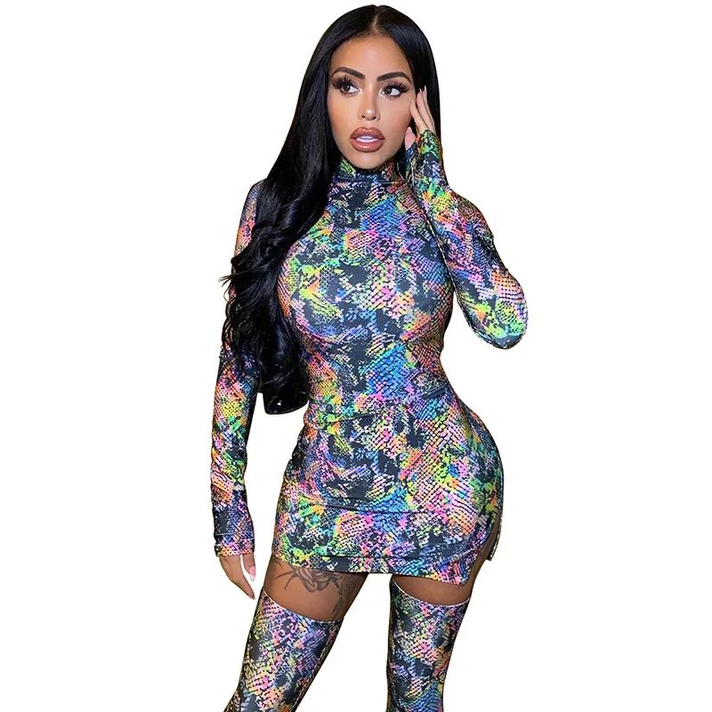 

Echoine Colorful Pattern turtleneck Snake Print Long Sleeve Mini Dress Women Skinny Bodycon Clubwear Streetwear Vintage Vestidos