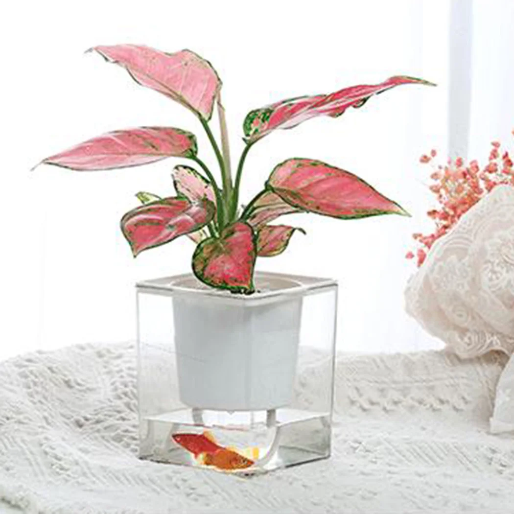 

Automatic Visible water level flower pot Transparent flower pot Water saving and drought resistance