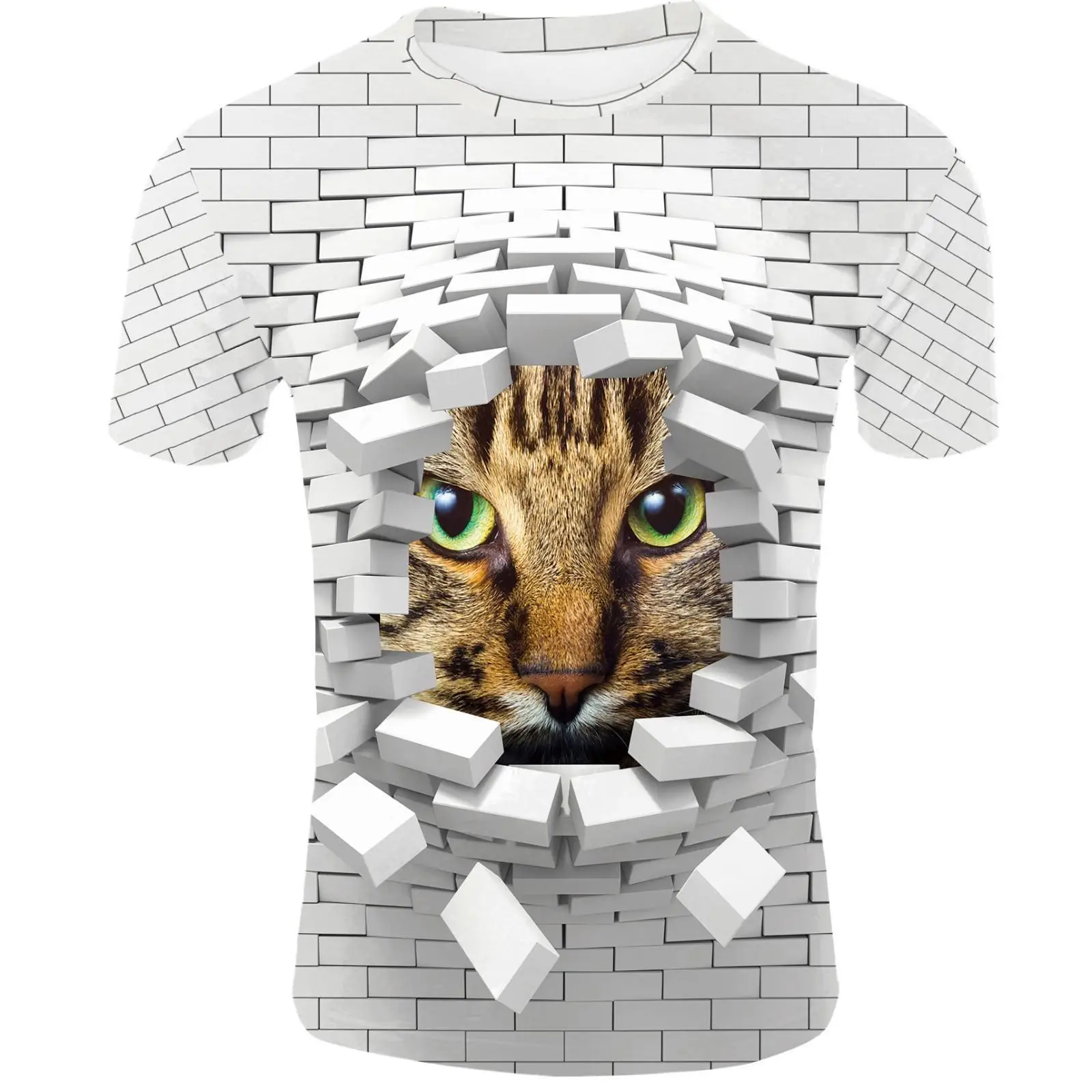 

2021 camisa de parede criativa masculina 3D meninos populares manga curta personalizada de vero impresso de camisa 3D Wall Art