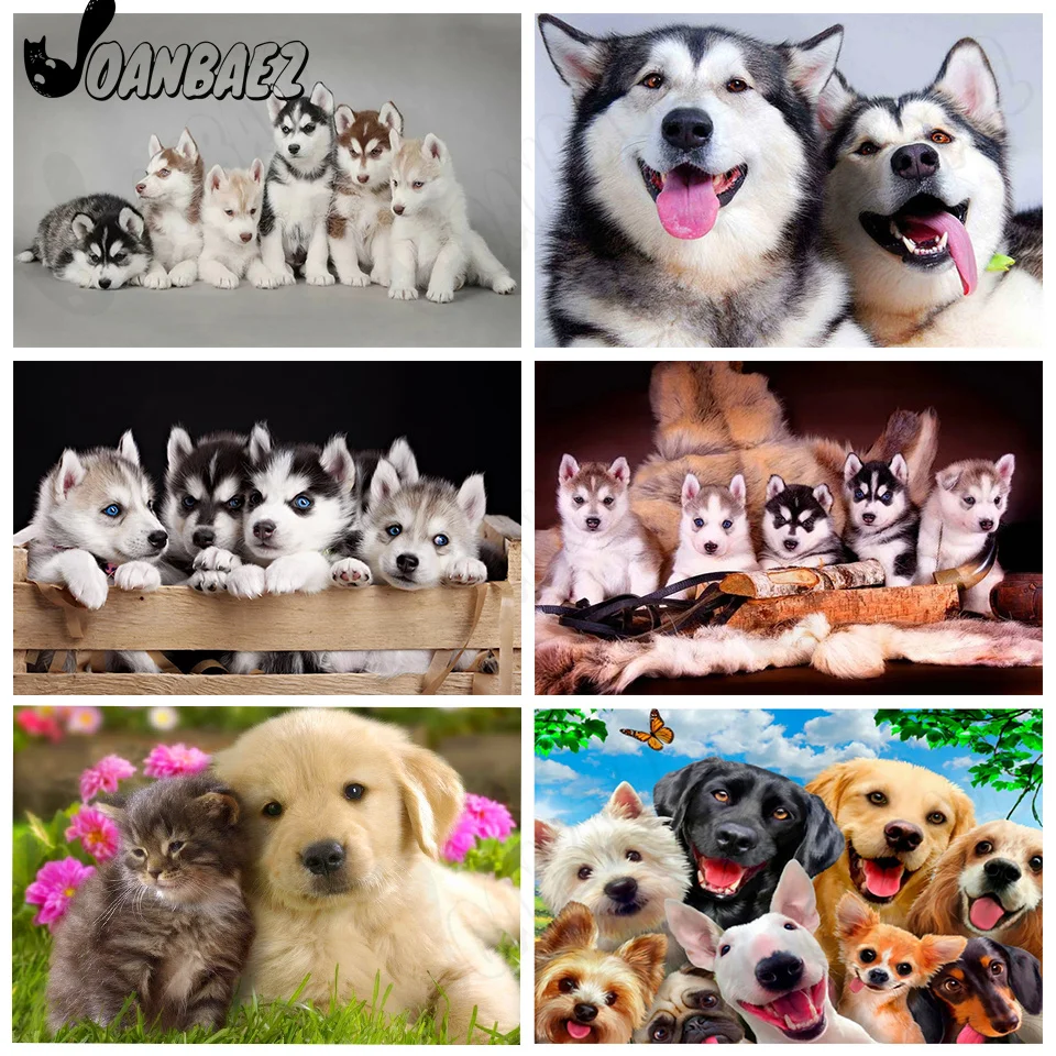 

Pet Dog Animal Diamond Painting 5D Diy Wall Art Cute Husky Square Diamond Diamond Inlaid Home Room Decoration Accessories
