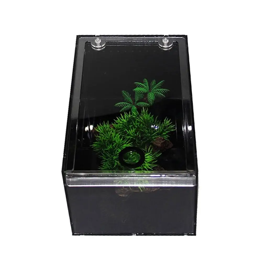 

Clear Reptile Breeding Box Acrylic Transparent Sliding Cover Reptile Tank Insect Spiders Tortoise Lizard Feeding Box Terrarium
