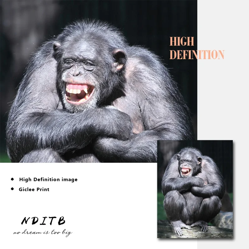 Живопись на холсте "Шимпанзе обезьяна Африки" с улыбкой на лице - смешной плакат для стены в современном стиле декора домашнего помещения. - Фото №1