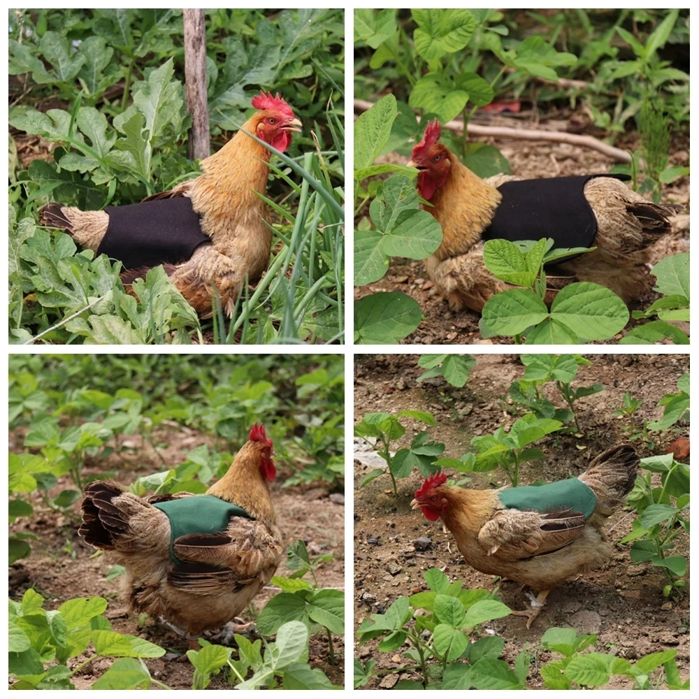 

Chicken Helmet Cap Pet Protective Gear Sun Rain Protection Helmet Toy Bird Hens Small Pet Supplies Accessory Chicken Helmet Cap