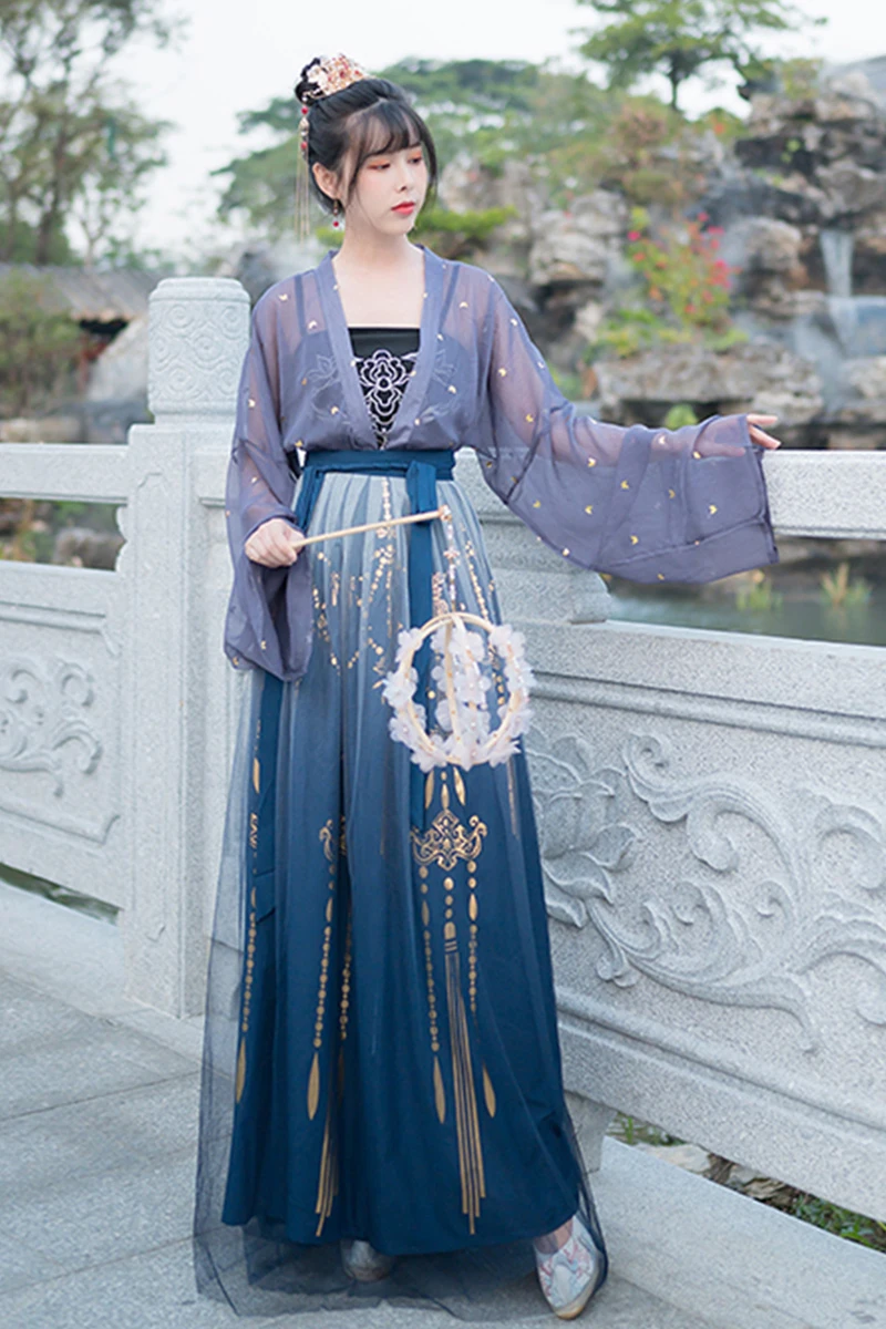 

2020 Traditional Retro Dance Costume Chinese Style Fairy Folk Chiffon Dress Hanfu Women Girl Embroidery Top Sling Skirt Set