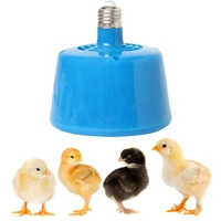 pets livestock piglets chickens heat warm lamp keep warming bulb 220v 100 300w