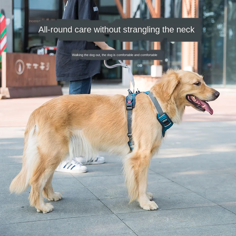 Взрывозащищенная шлейка для крупных собак золотистый ретривер Хаски Лабрадор