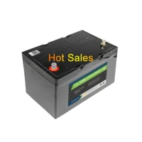 12 volt lithium ion battery battery pack with bms lithium ion 100ah lifepo4 battery for ups solar energy storage