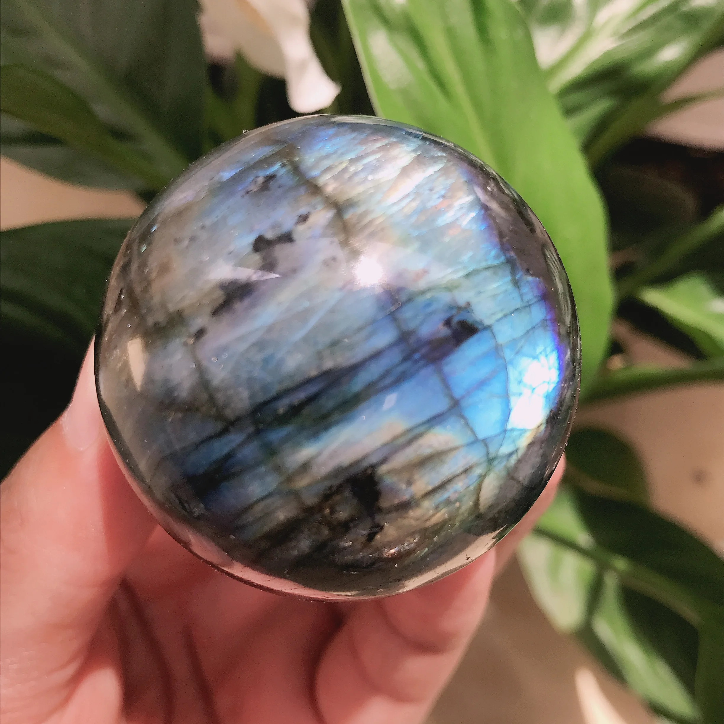 

Natural labradorite esfera rocha quartzo cristal bola cura