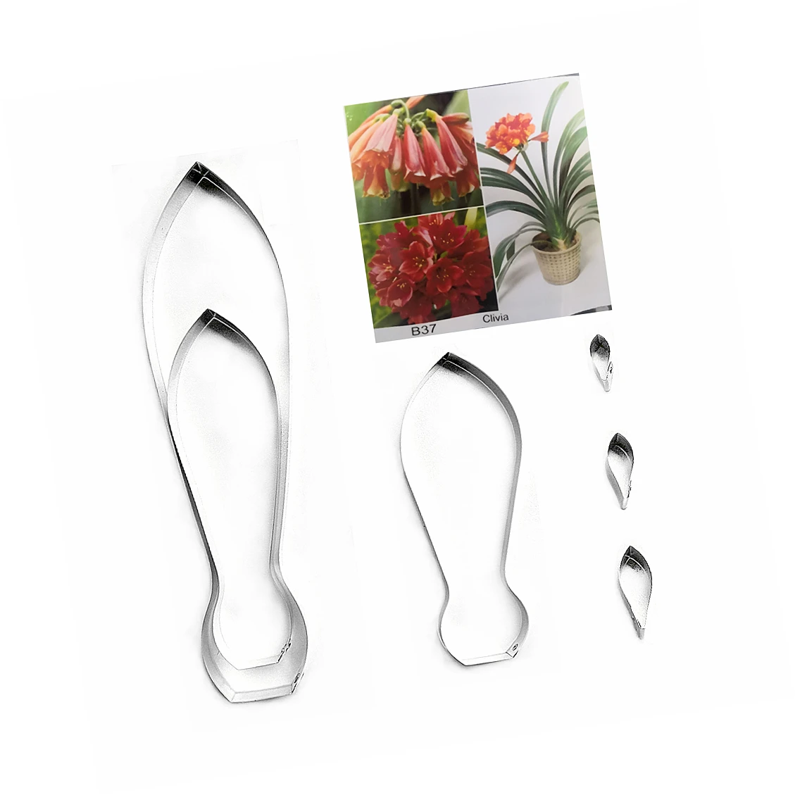 Ножи для мастики и сахарной Clivia цветов украшения выпечки тортов инструменты из