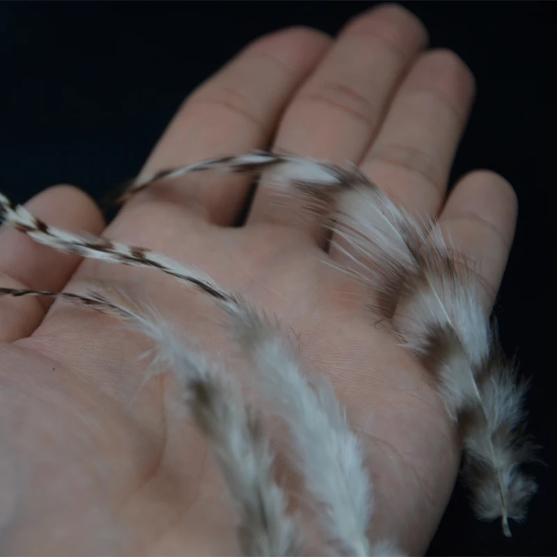 Новые 30 шт./пакет 2 дополнительных цветов мушек полосатой петушиные перья