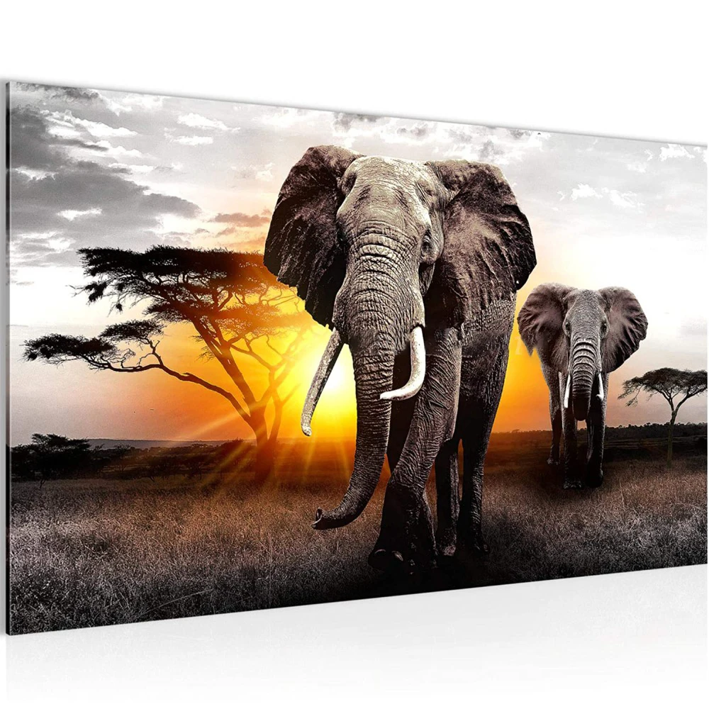 Картина 5D из страз закат африканский слон картина стразы квадратная круглая