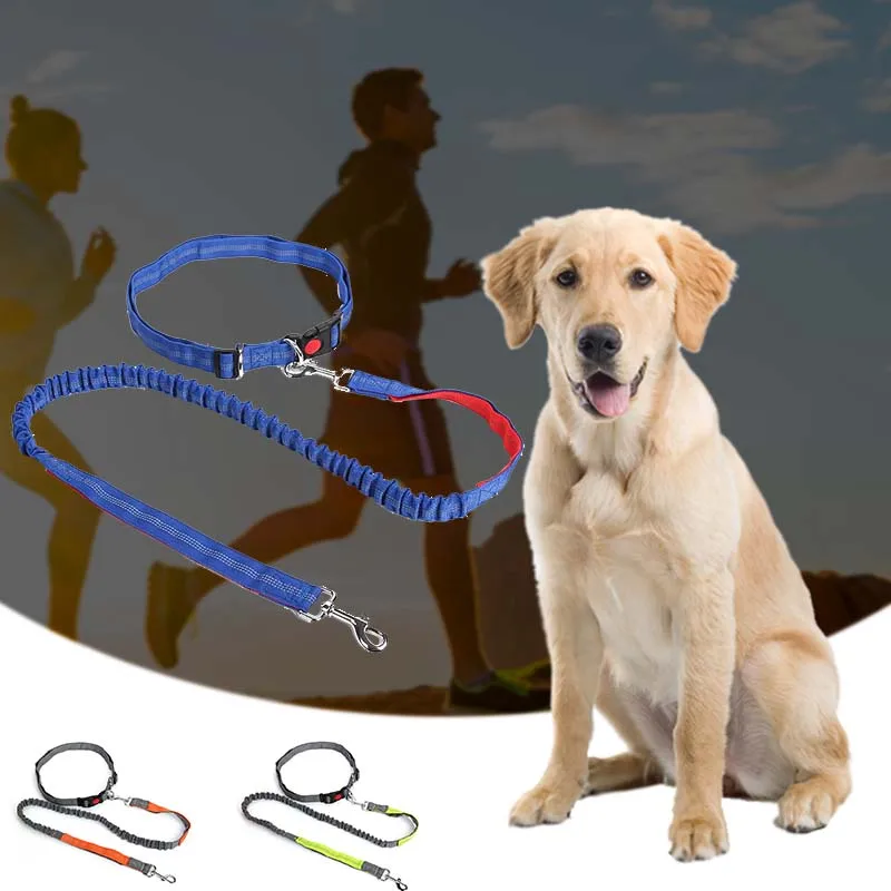 Ночной светоотражающий эластичный нейлоновый отколовшийся поводок для бега