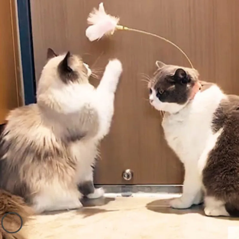 

New furniture items Artifact Pet Funny Toys Elastic With Bell Lent Feather Tease Cat Collar Tease Cat Stick Cat home Decor
