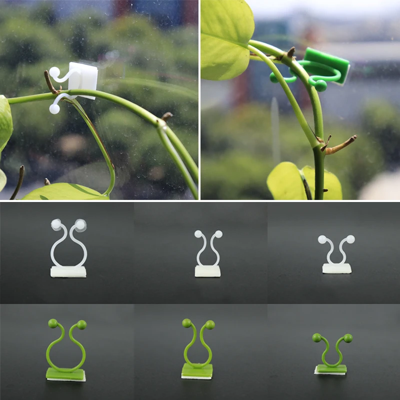 

10pcs Plant Climbing Wall Clip Invisible Wall Vines Fixture Wall Sticky Hook Holder Plant Cages Plant Supports Clip Vine Clip