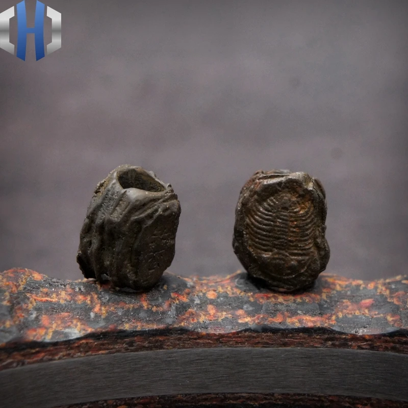 Оригинальный подвесной нож Trilobite Fossil индивидуальные бусы на веревочке в стиле