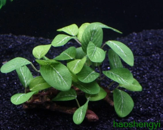 Искусственное растение для украшения аквариума шелковые листья | Дом и сад