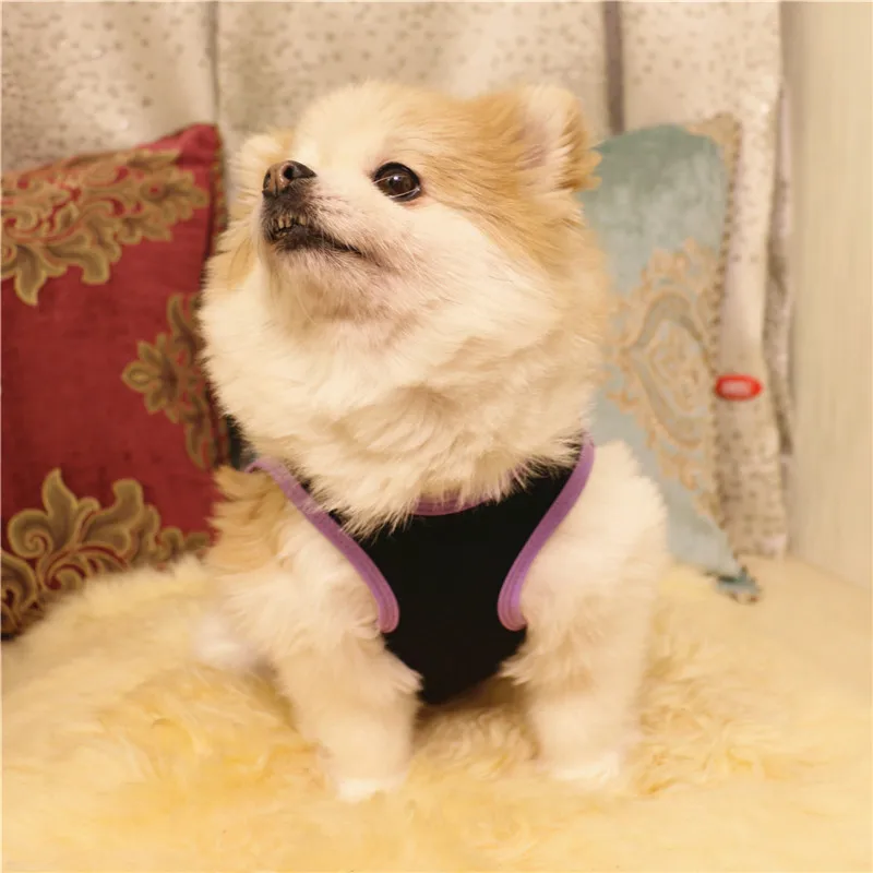 Breathable Cotton Dog Vest Black Cartoon Rabbit Puppy Clothe Spring and Summer Pet T Shirt for Small Teddy Hiromi | Дом и сад