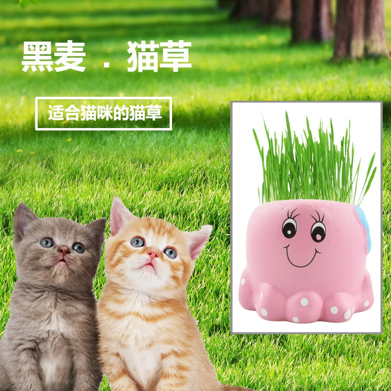 Моделирование керамической творческой черной пшеничной травы для замены