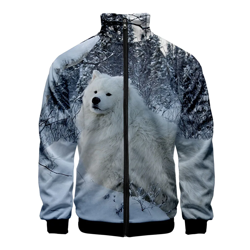 2019 Samoyed куртки на молнии повседневные Хип-хоп новые модные крутые Highstreet осенние