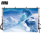 DAWNKNOW в стиле лолита пользовательские Лолита принцессы Эльза Айсберг фон для фотосъемки с изображением фон гобелен вечерние плакат детей реквизит для фотостудии