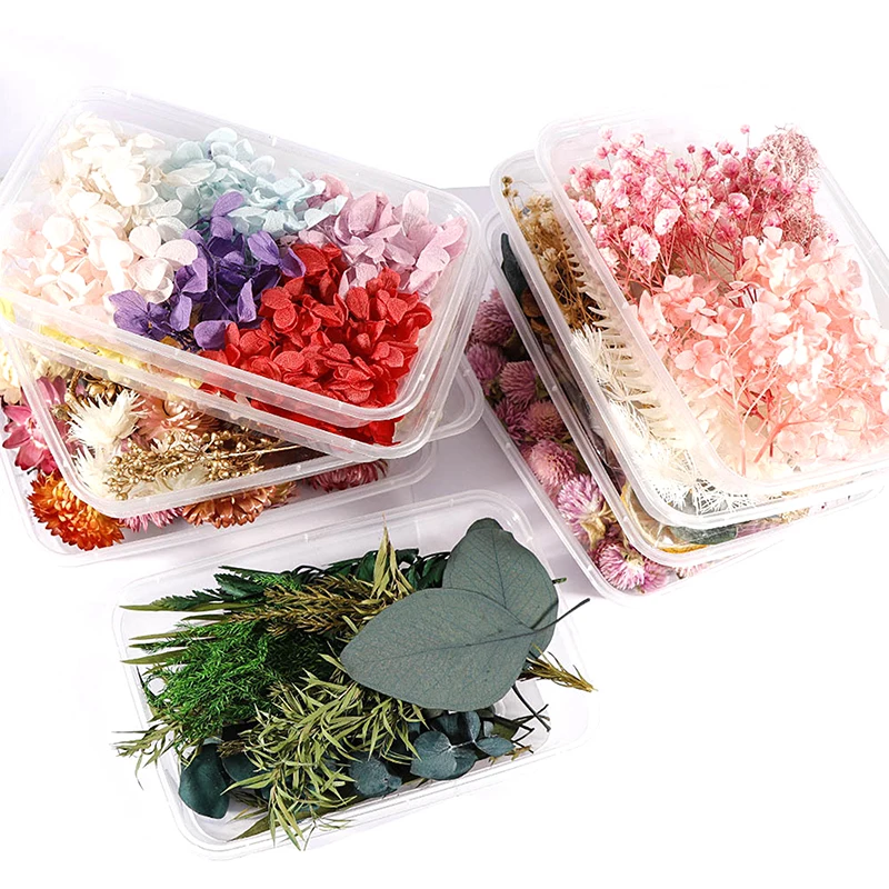 

1 Box Dried Flower Dry Plants For Aromatherapy Candle Epoxy Resin Pendant Necklace Jewelry Making Craft DIY Accessories